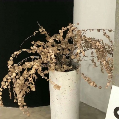 兽设原创改稿实用思路福瑞交流群